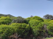 Omprogialos Kreta, Omprogialos: Grundstück mit unverbaubarem Meerblick zu verkaufen Grundstück kaufen